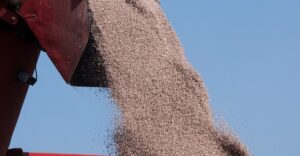 La guerra in Iran minaccia qualcosa di più importante dei prezzi del petrolio