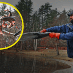 Perché gli stati rilasciano milioni di questi pesci?