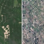 La crisi della deforestazione in Bolivia: la coltivazione di soia da parte della comunità Mennonite alimenta la perdita delle foreste