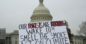 I democratici dovrebbero parlare del cambiamento climatico, secondo gli elettori
