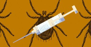 Punture di zecche: aumentano i casi di sindrome alfa-gal e malattia di Lyme — ecco come prevenirle