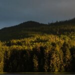 Trump administration moves to end “roadless rule” for national forests: What to know