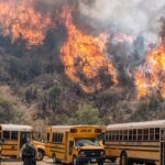 Il pericolo degli incendi boschivi che stiamo appena iniziando a capire